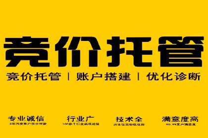 百度广告竞价策略详解：某电商平台的成功案例